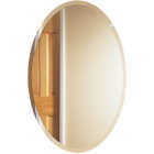 Zenith Frameless Beveled 21 In. W x 31 In. H x 4 In. D Single Mirror Surface Mount Oval Medicine Cabinet Image 1